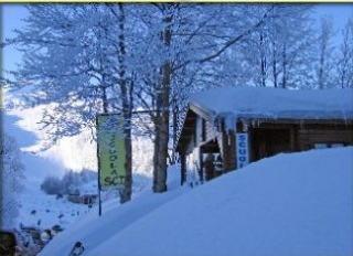  The school 